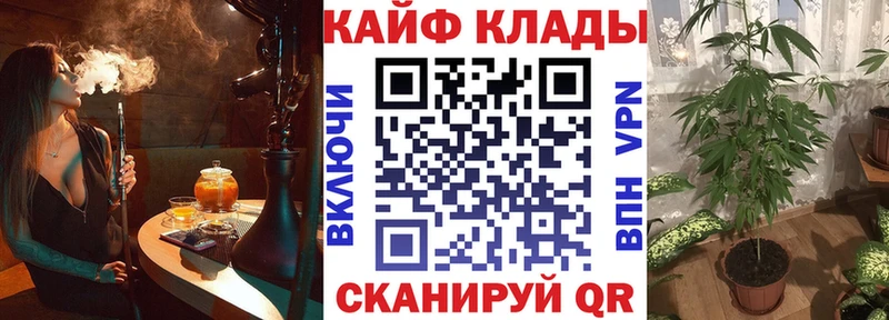 Магазин наркотиков Кингисепп Cocaine  АМФЕТАМИН  ГАШИШ  Каннабис  Мефедрон  A PVP 
