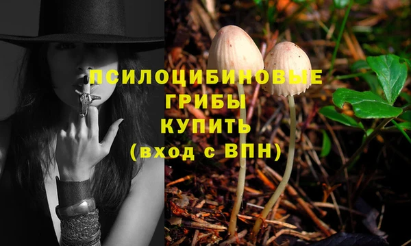 соль ск Алексин